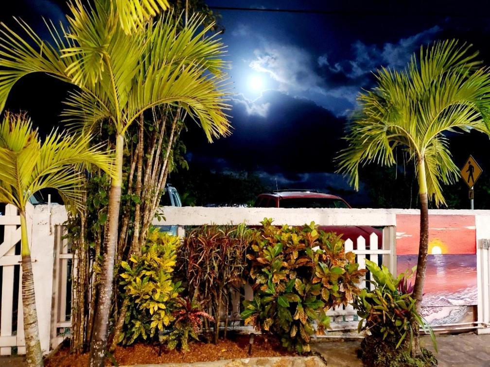 Beya Suites Punta Gorda Eksteriør billede