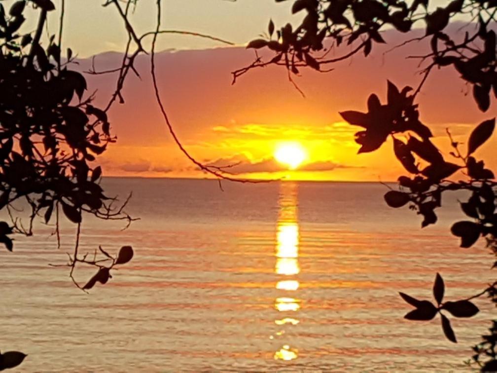 Beya Suites Punta Gorda Eksteriør billede